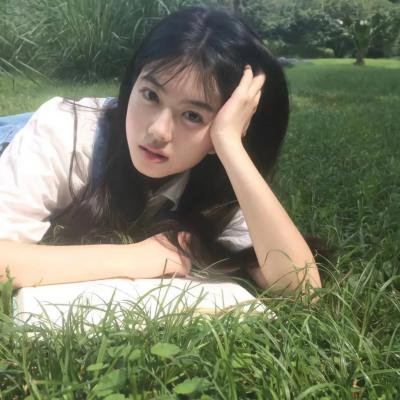 灵犬雪莉2：冒险再出发